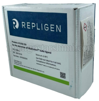 Protein A ELISA kit