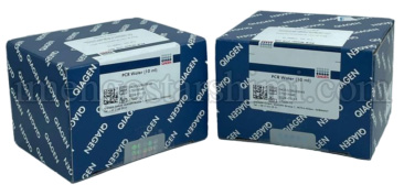 PCR Water -10 x 1 ml- Water