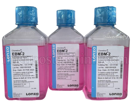 EBM™ -2 is an endothelial basal medium