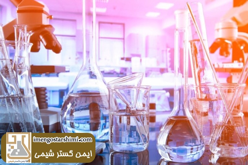 مقایسه بشر و ارلن