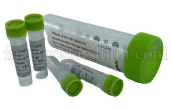 Protein A Antigen Concentrate
