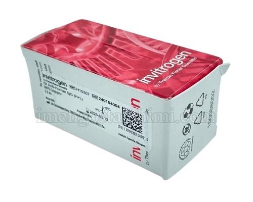 Hoechst 33342