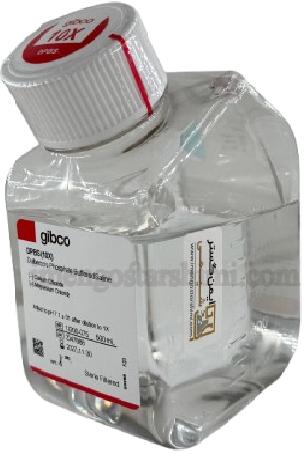 محلول بافر فسفات (بدون کلسیم و منیزیم) - Gibco DPBS 10X